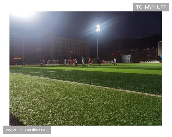 头头体育真人欢迎你,打造属于你的专属体育真人娱乐空间 头头体育真人欢迎你,打造属于你的专属体育真人娱乐空间